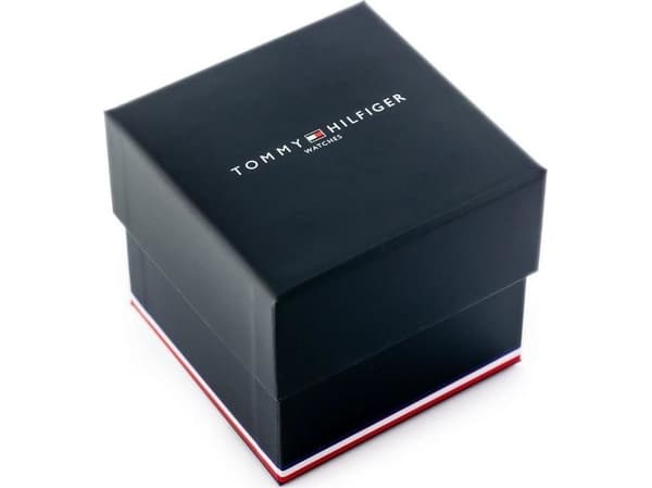Klocka VYRAMS Tommy Hilfiger Baker (zf043d)