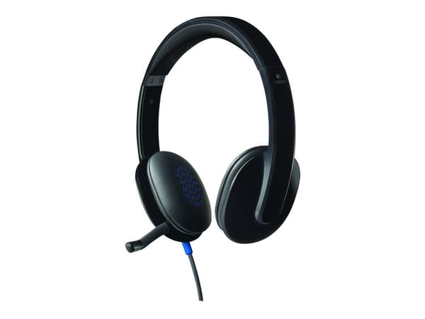 Logitech USB Headset H540 - Hodesett - on-ear - kablet