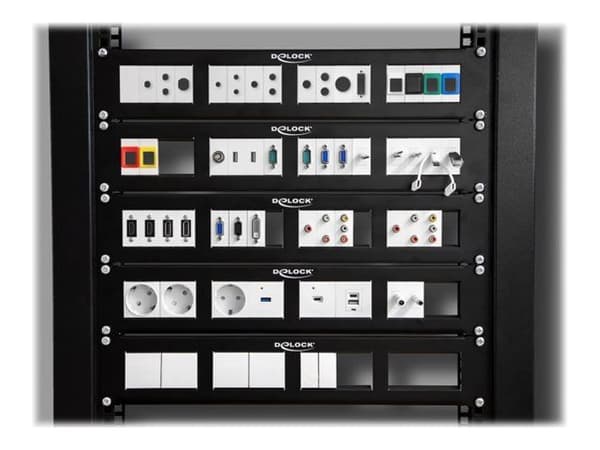 Delock - Patch-panel - rackmontering - svart - 2U - 19"