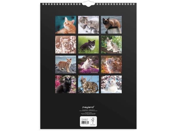 Väggkalender Katter 2027