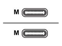 DELTACO - USB-kabel - USB-C (hane) till USB-C (hane) - 1 m - vit