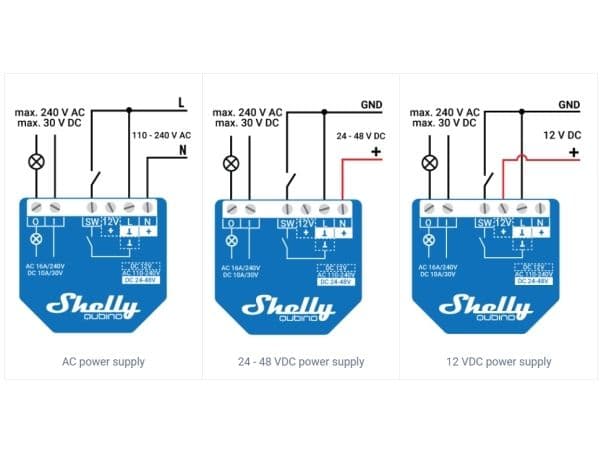 Shelly Qubino Wave 1