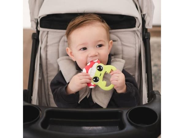 Lamaze Finlee The Frog Teether