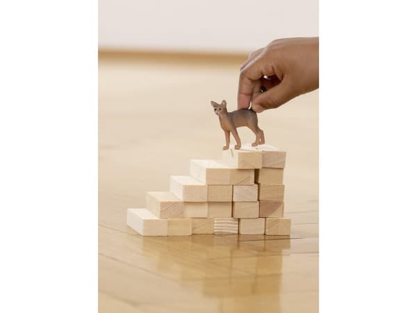 Schleich Abyssinian Cat