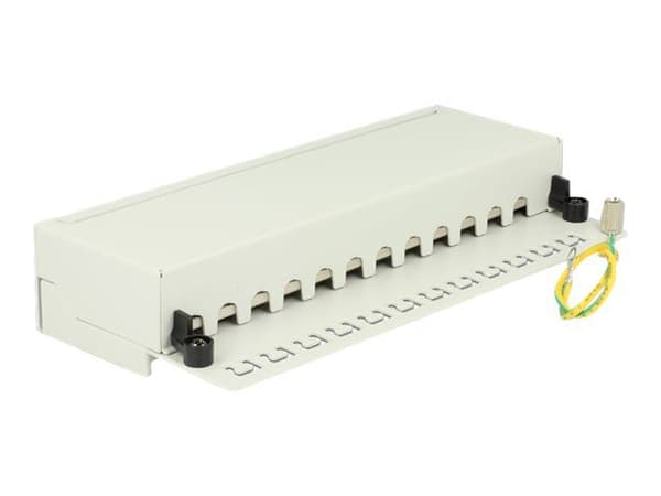 Delock - Patch-panel - CAT 6 - RJ-45 X 12 - ljusgrå, RAL 7035