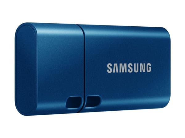Samsung MUF-256DA - USB flash-enhet - 256 GB - USB-C 3.2 Gen 1 - blå