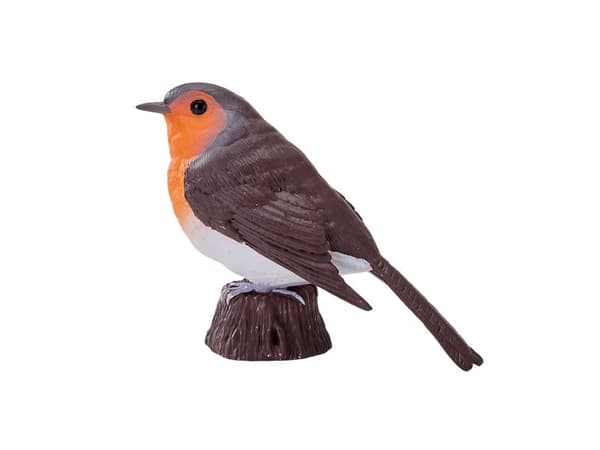 Robin
