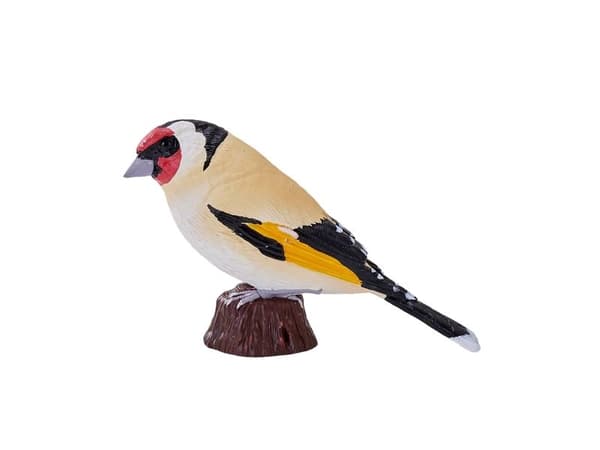 European Goldfinch