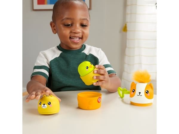 Fisher Price Nesting Pet Friends