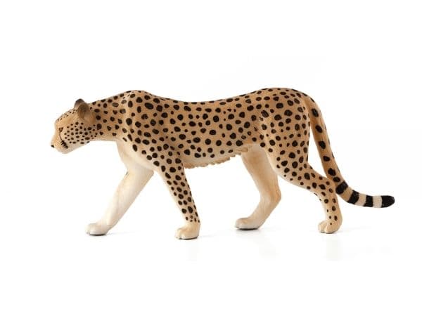 Mojo Cheetah hane