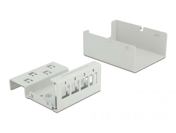 Delock - Blank keystone-patchpanel - väggmontering, kan monteras på DIN-skena - grå - 4 portar