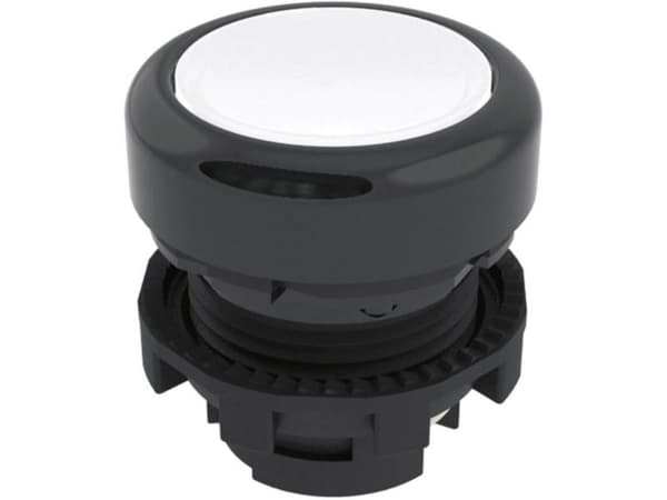 Pizzato Electric E21PL2R2210 Trykknap Sortera 1 stk
