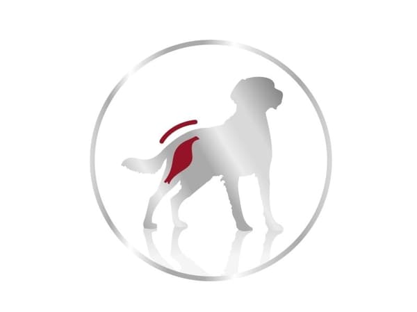 Royal Canin Medium Adult Loaf vådfoder til hund - 12x410 g