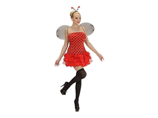 Ladybug puku