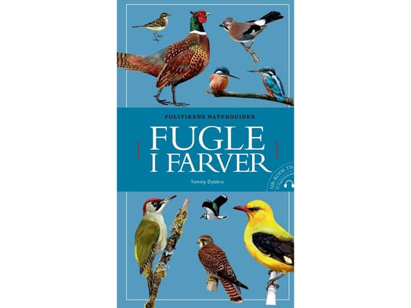 Fugle i farver | Tommy Dybbro