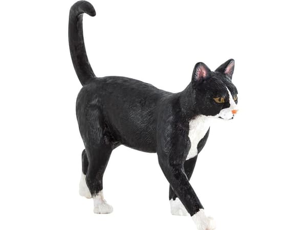 Mojo Kat