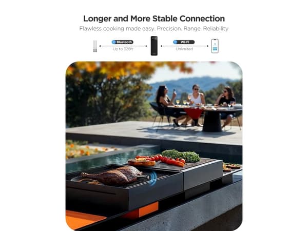 Govee Smart Wireless Meat Thermometer (2-Probes)