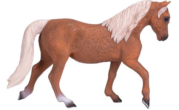 Mojo Palomino Morgan ori