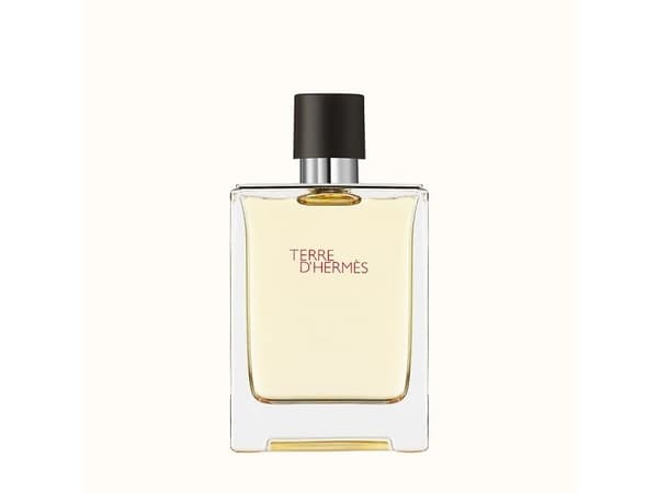 Hermès Terre D'Hermès Eau De Toilette 100 ml (man)