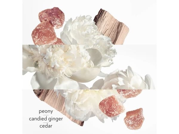 Hermes Twilly D'Hermes Eau Ginger Perfumed Water Spray 85ml