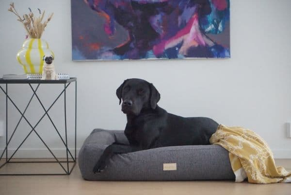 Shiro & Malou Box Bed Hundbädd Mörkgrå M 100cm