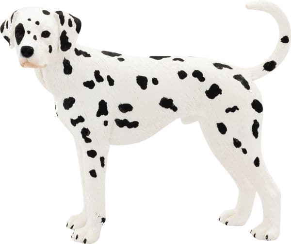 Mojo dalmatinerhund