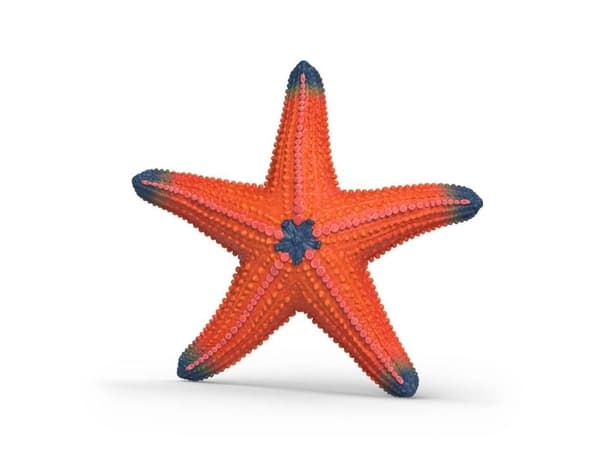 Schleich Starfish with color change