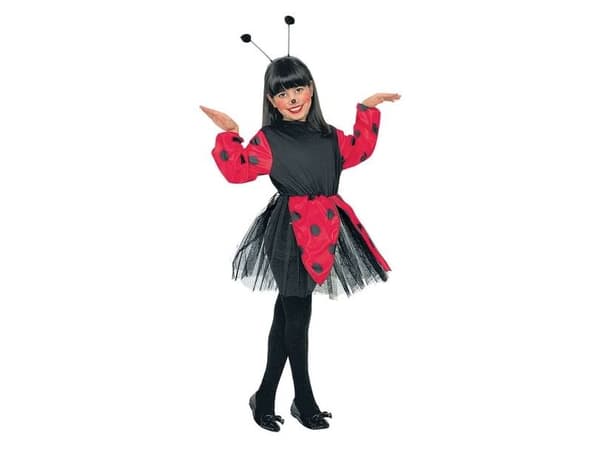 Ladybug puku