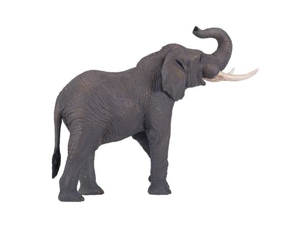 Mojo afrikansk tjur-elefant