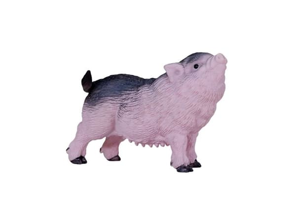 Mojo Belt Piglet nuori