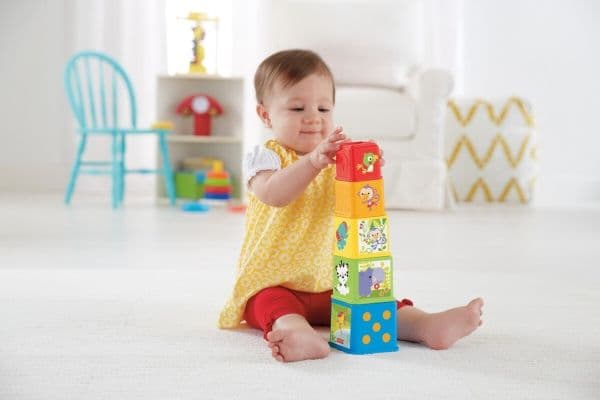 Fisher Price Stack & Explore Blocks