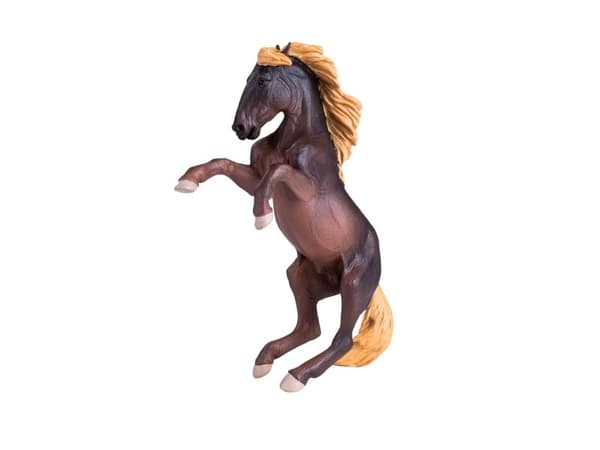 Mojo Brumby sto