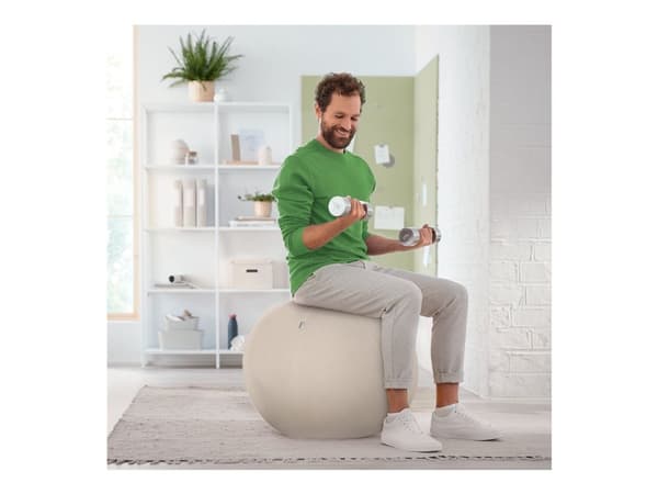 Leitz Ergo Active - Kulestol - ergonomisk - stofftrekk - grå