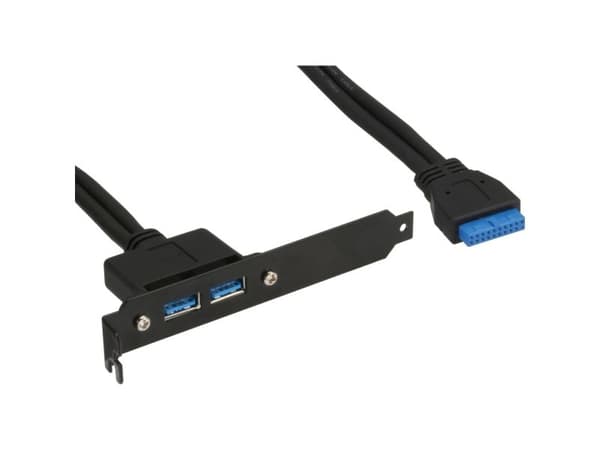 Inline Embedded Wspornik 2 x USB 3.0 (33390C)