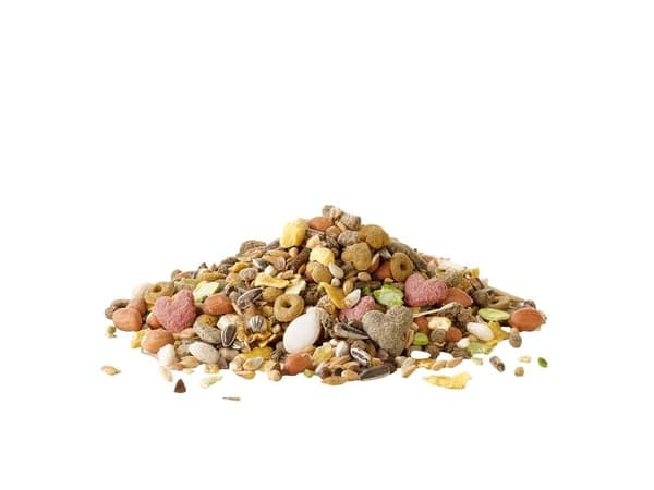 Versele Laga Crispy Muesli hamsterille 2,5 kg