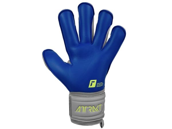 Reusch Attrakt Gold Evolution Cut