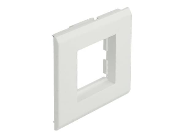 Delock - Easy 45 - ram - 2 modules - vit, RAL 9003