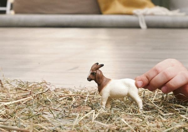 Schleich Boer Goat