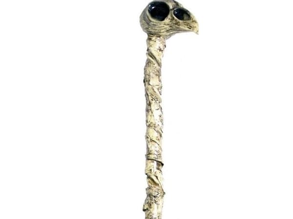 Krage stav