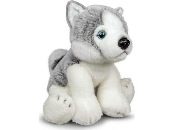 Myk kosedyr Husky
