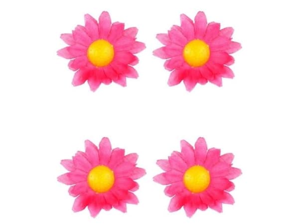 Dekorativa blommor, rosa