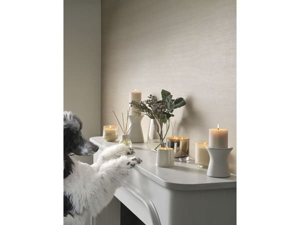 ILLUME Winter White Statement Glas Duftlys, Hvid,