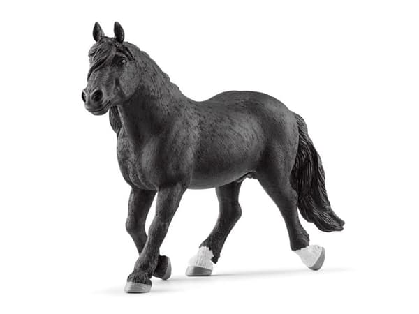 Schleich Noriker stallion