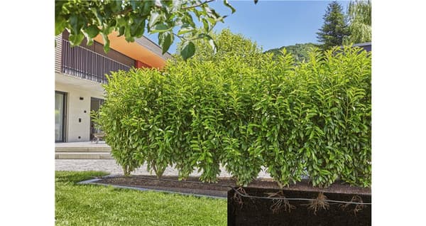 Gardena Micro-Drip-System bevattning för häck/busksatser - 50 meter
