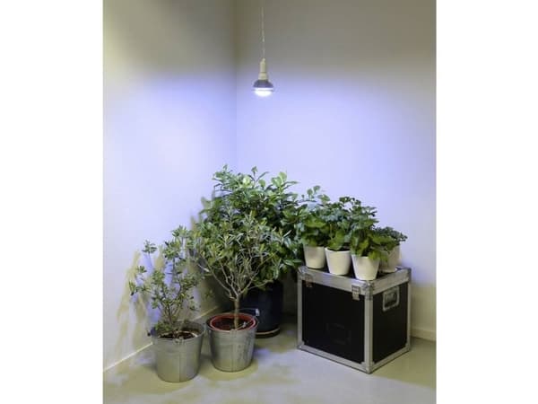 Venso EcoSolutions Winter, 18 W, E27, 30000 timer, Dagslys