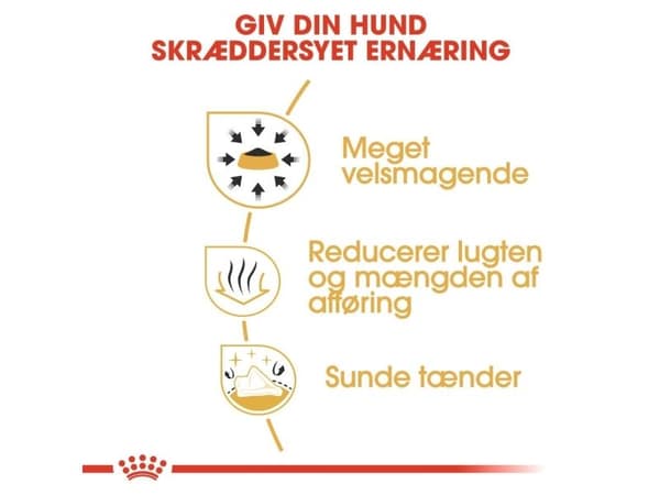 Royal Canin Chihuahua Adult tørfoder til hund - 3 kg