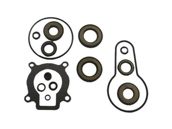 Sierra Lower Unit Seal Kit