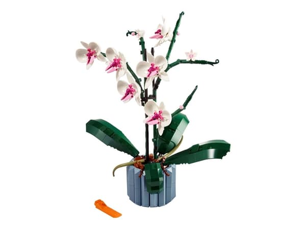 LEGO Botanicals 10311 Orkidé