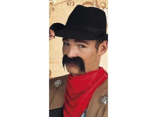 Aster Wąsy cowboy univ