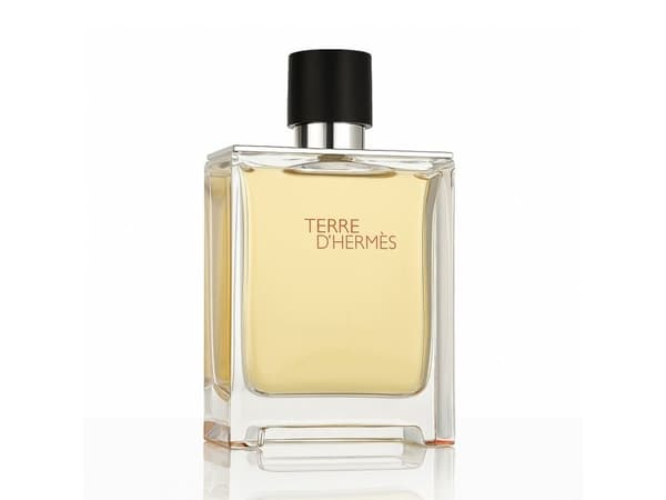 Hermès Terre D'Hermès Parfum 200 ml (man)